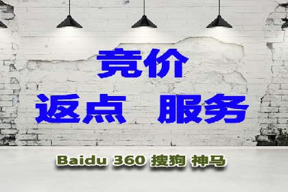 行业领先的SEM策略：成功案例与经验分享